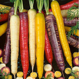 Viridis Hortus - Carrot Rainbow Blend 400 Vegetable Seeds
