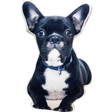 Art Your Cat Custom (Your Pet) Hand-made Pillow