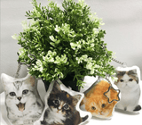 Art Your Cat Fluffy Keychain with YOUR PET