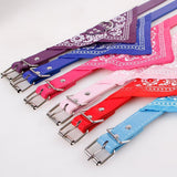 Bandana Dog Collars Pet Supplies Online Store 
