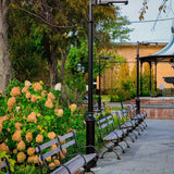 Solar LED Pathway And Street Light - 1,600 Lumens