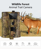 Wildlife Photography Trail Camera