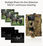 Wildlife Photography Trail Camera