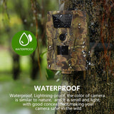 Wildlife Photography Trail Camera