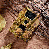 Wildlife Photography Trail Camera